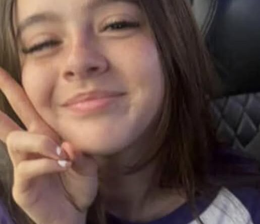 Violet D. Harris Hit-and-Run Incident Chicago Death and Obituary: Tragic Loss, Gone Too Soon